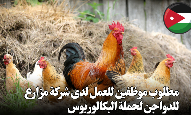 careers@sinokrotgroup.com